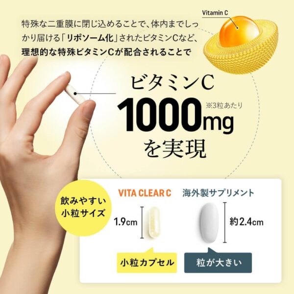 aequalis ビタクリアC 高濃度 ビタミンC サプリメント 1,000mg配合 リポソームビタミンC 国内製造 90粒入 - 画像 (6)