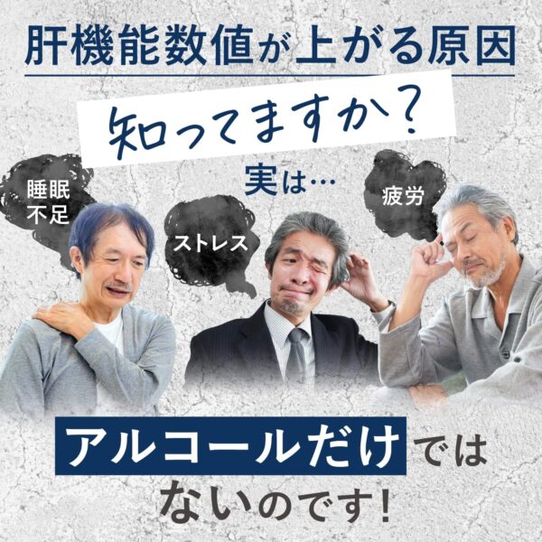 和漢の森 スルフォラファン&ギャバの恵み 機能性表示食品 GABA配 血中ALT値を下げる 疲労感を緩和する しじみ ウコン 田七人参 マカ 牡蠣 クロレラ 60粒 - 画像 (3)