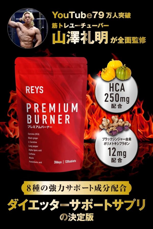 REYS レイズ PREMIUM BURNER プレミアムバーナー 120粒 （使用目安約30回分）山澤礼明監修 8種の厳選成分配合 ガルニシア（HCA） ブラックジンジャー カルニチン ヒハツ αリポ酸 カフェイン ナイアシン パントテン酸 - 画像 (2)