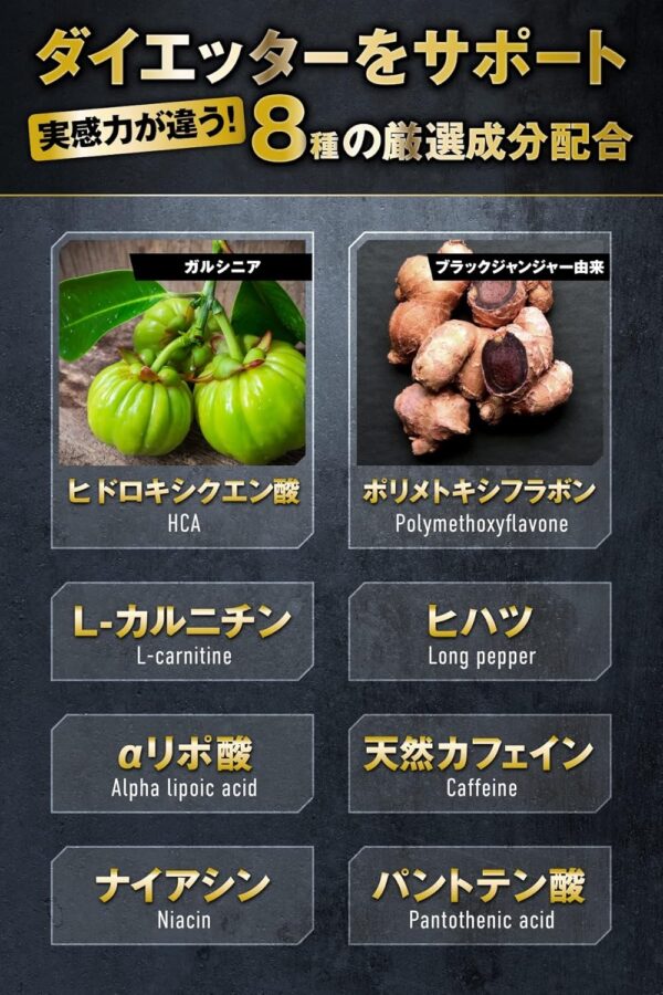 REYS レイズ PREMIUM BURNER プレミアムバーナー 120粒 （使用目安約30回分）山澤礼明監修 8種の厳選成分配合 ガルニシア（HCA） ブラックジンジャー カルニチン ヒハツ αリポ酸 カフェイン ナイアシン パントテン酸 - 画像 (3)