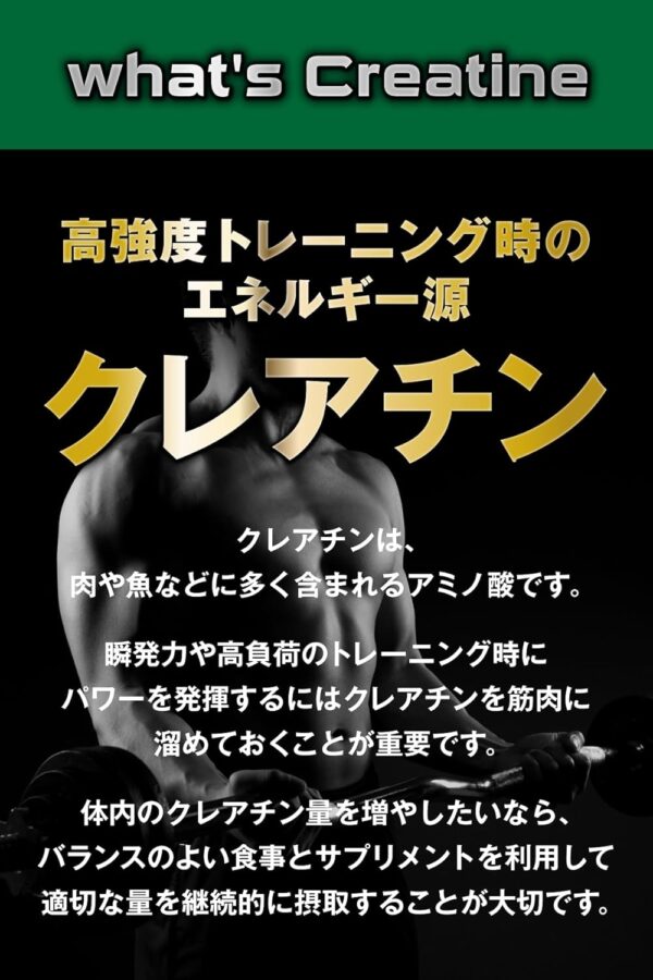 REYS レイズ クレアチン パウダー 500g 山澤礼明 監修使用目安 約100回分クレアチンモノハイドレート（国内製造）100%使用 ノンフレーバー - 画像 (3)