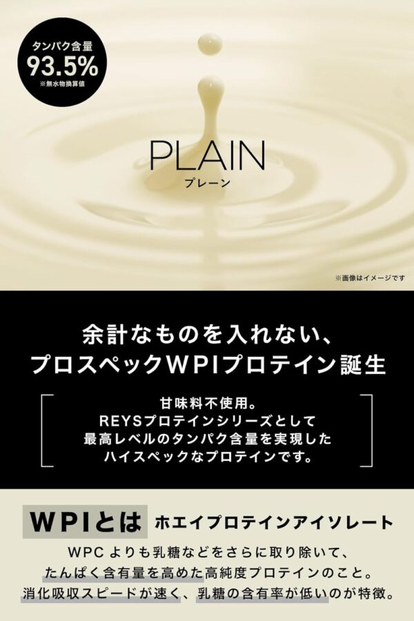 REYS レイズ WPI ホエイ プロテイン アイソレート 山澤 礼明 監修 1kg 国内製造 ビタミン7種配合 (キウイ風味) - 画像 (14)
