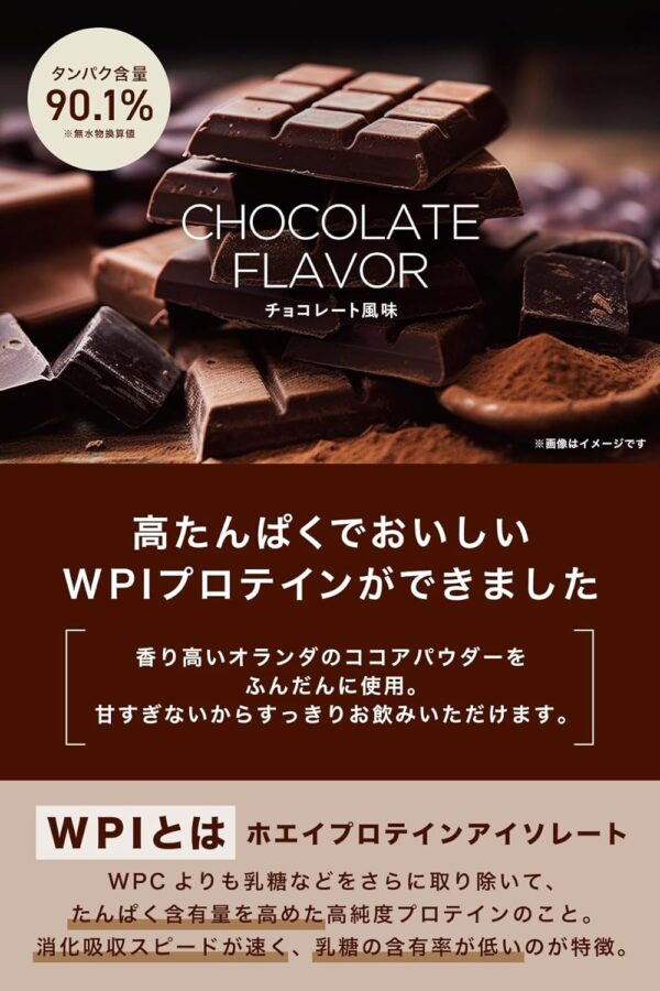 REYS レイズ WPI ホエイ プロテイン アイソレート 山澤 礼明 監修 1kg 国内製造 ビタミン7種配合 (キウイ風味) - 画像 (19)