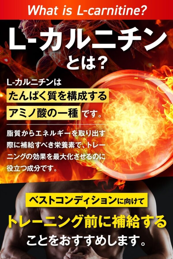 JAKS カルニチン 23,000mg ダイエット EAA HMB カプサイシン コエンザイムQ10 αリポ酸 ヒハツ ビタミン11種 サプリメント 国内GMP認定工場製造 - 画像 (4)