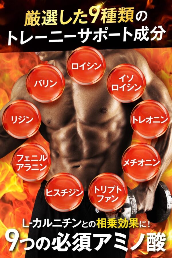 JAKS カルニチン 23,000mg ダイエット EAA HMB カプサイシン コエンザイムQ10 αリポ酸 ヒハツ ビタミン11種 サプリメント 国内GMP認定工場製造 - 画像 (6)