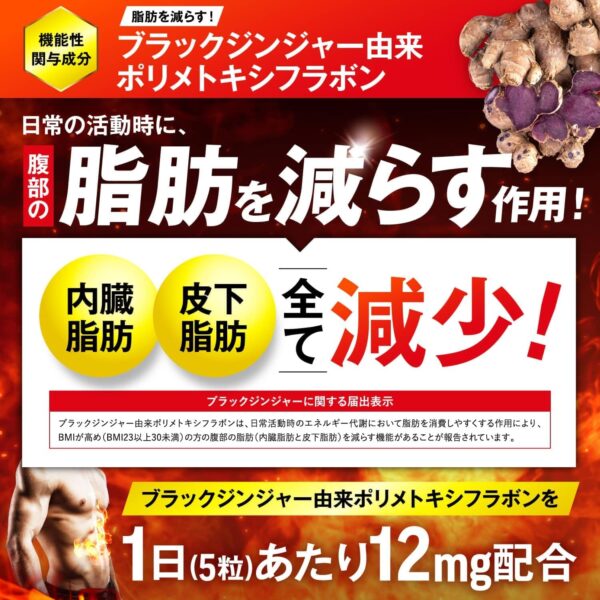 JAKS LEGENBODY 運動中の脂肪燃焼を高める 内臓脂肪を減らす 150粒 ダイエット HCA ブラックジンジャー 機能性表示食品 ジャックス 国内GMP認定工場 サプリメント - 画像 (5)