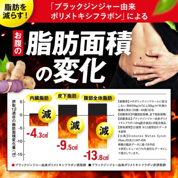 JAKS LEGENBODY 運動中の脂肪燃焼を高める 内臓脂肪を減らす 150粒 ダイエット HCA ブラックジンジャー 機能性表示食品 ジャックス 国内GMP認定工場 サプリメント - 画像 (6)