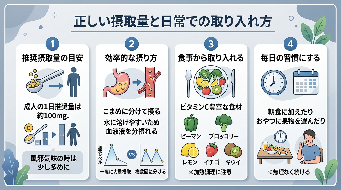 正しい摂取量と日常での取り入れ方