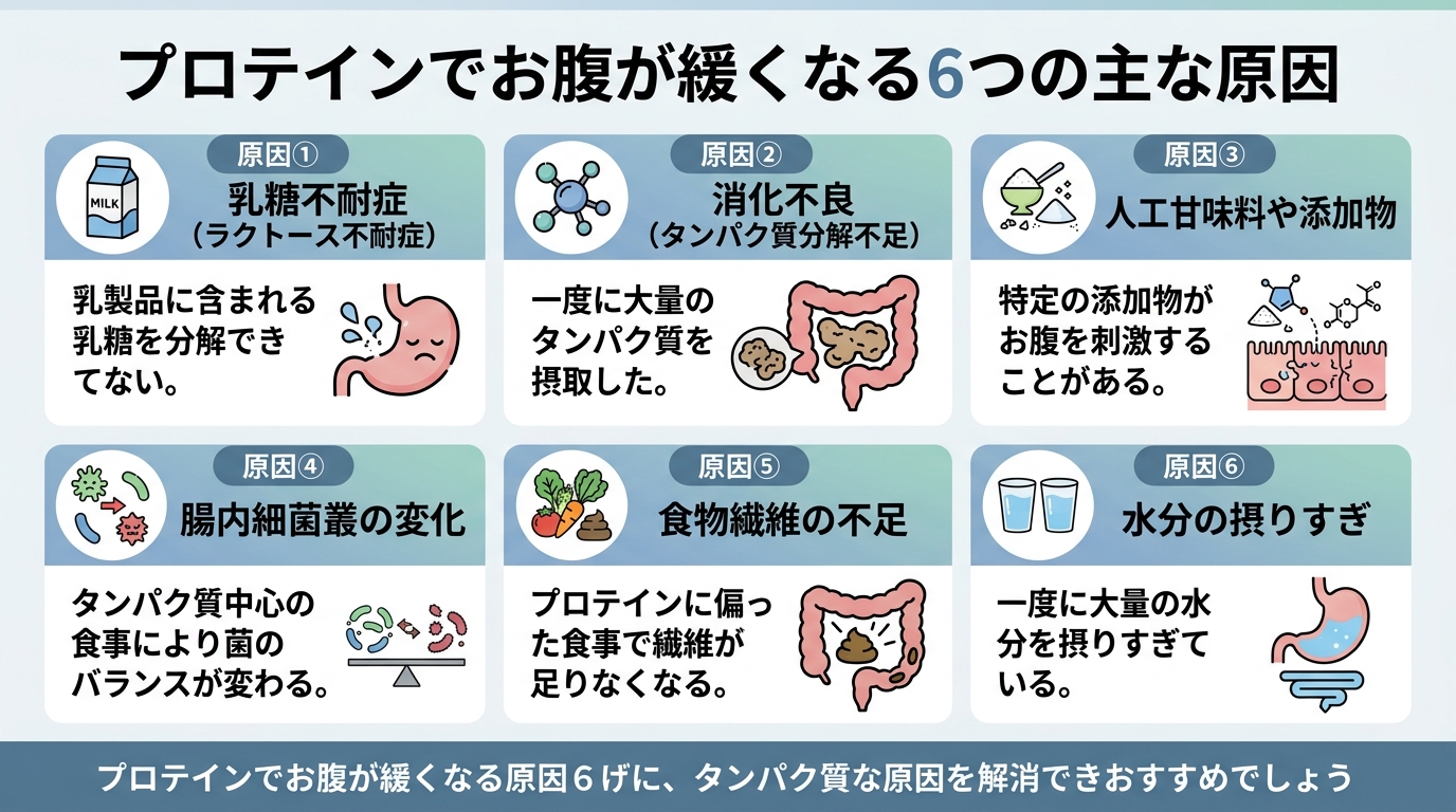 プロテインでお腹が緩くなる6つの主な原因