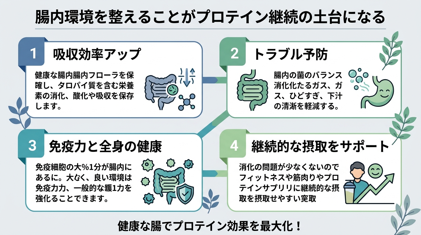 腸内環境を整えることがプロテイン継続の土台になる