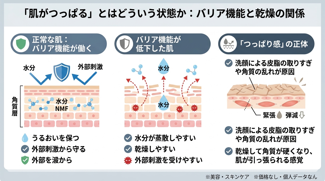 「肌がつっぱる」とはどういう状態か:バリア機能と乾燥の関係
