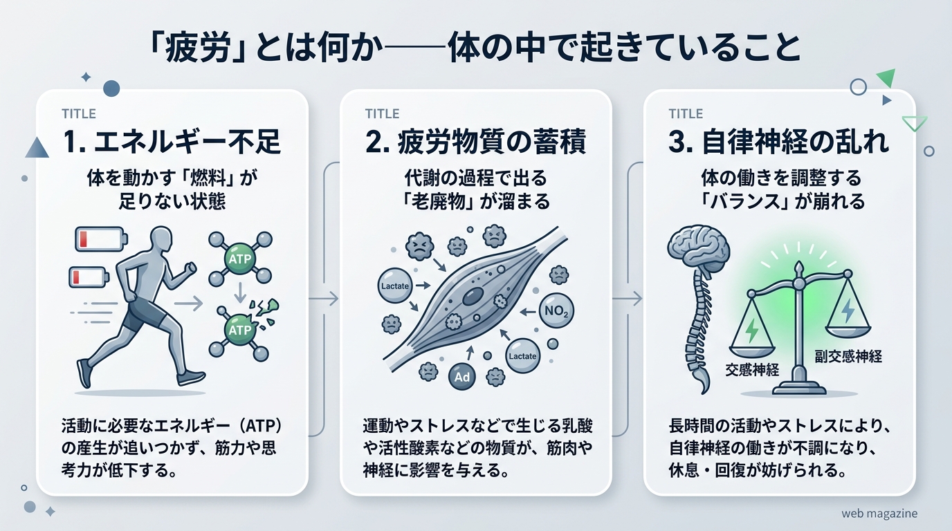 「疲労」とは何か——体の中で起きていること