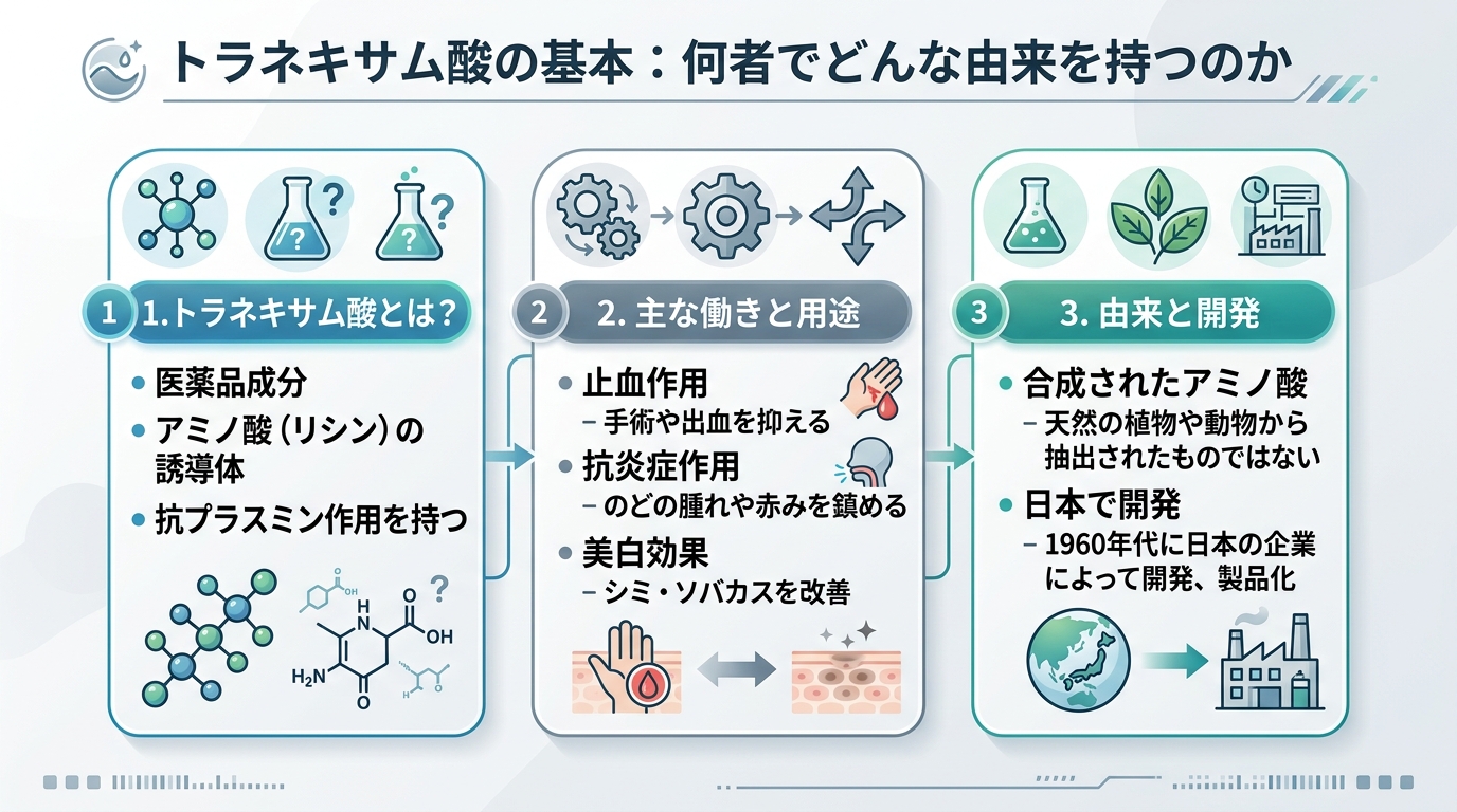 トラネキサム酸の基本:何者でどんな由来を持つのか