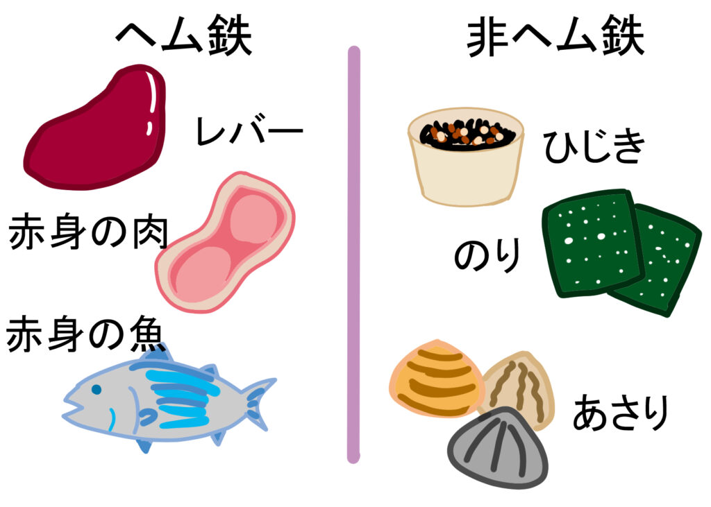 ヘム鉄と非ヘム鉄の違い - ベストアイテム ヘム鉄と非ヘム鉄の違い