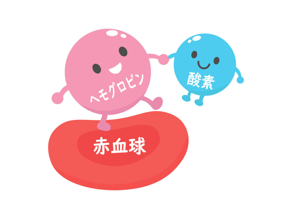 鉄分の主な働き - ベストアイテム 鉄分の主な働き