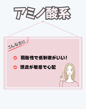 アミノ酸系の特徴 - ベストアイテム アミノ酸系の特徴