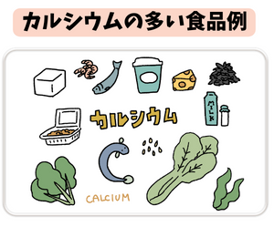 カルシウムの多い食品 - ベストアイテム カルシウムの多い食品