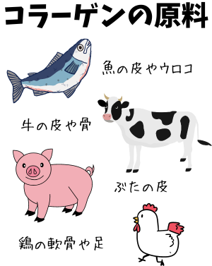 コラーゲンの原料で選ぶ - ベストアイテム コラーゲンの原料で選ぶ