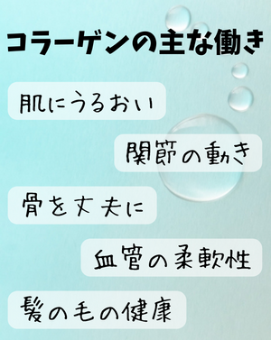 コラーゲンの主な働き - ベストアイテム コラーゲンの主な働き