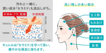 花王 キュレルシャンプー - ベストアイテム 花王 キュレルシャンプー