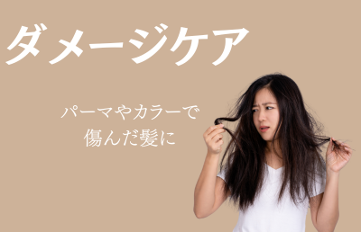 パーマやカラーを繰り返した髪もしっとりまとまる「ダメージケア」タイプ - ベストアイテム パーマやカラーを繰り返した髪もしっとりまとまるダメージケアタイプ