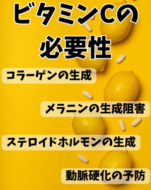 ビタミンCの必要性 - ベストアイテム ビタミンCの必要性