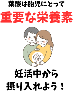 葉酸の働き - ベストアイテム 葉酸の働き