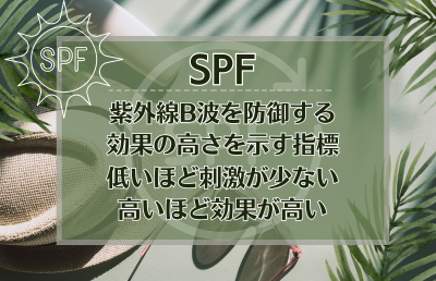 SPFで選ぶ - ベストアイテム SPFで選ぶ