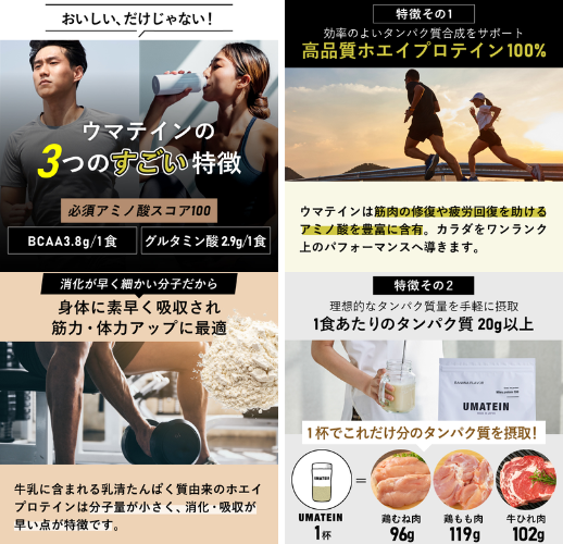 uウマテイン ホエイプロテイン ココア味matein-1 - ベストアイテム ウマテイン ホエイプロテイン ココア味