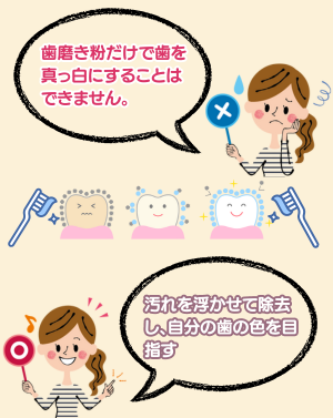 ホワイトニング歯磨き粉の役割と成分 - ベストアイテム ホワイトニング歯磨き粉の役割と成分