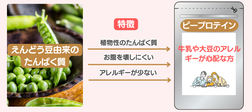 ピープロテインの特徴 - ベストアイテム ピープロテインの特徴