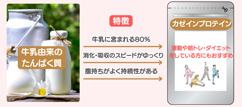 カゼインプロテインの特徴 - ベストアイテム カゼインプロテインの特徴