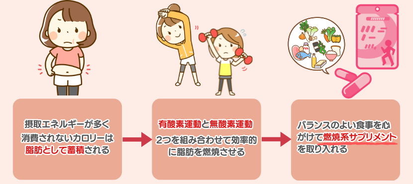 脂肪燃焼系タイプとは - ベストアイテム 脂肪燃焼系タイプとは
