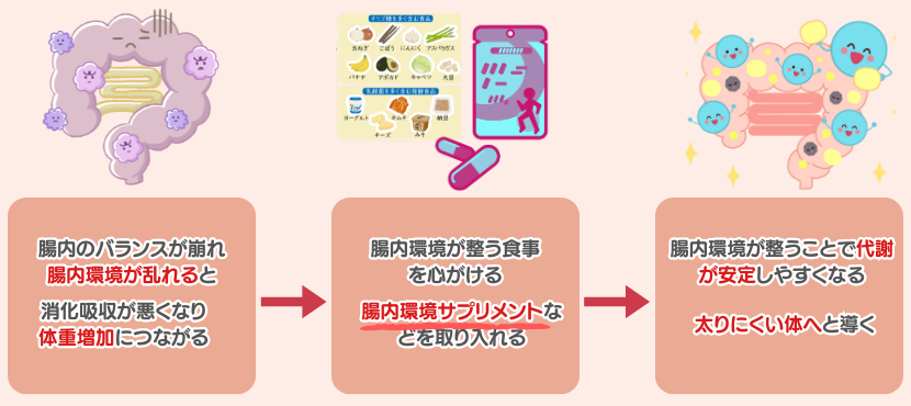 腸内環境タイプとは - ベストアイテム 腸内環境タイプとは