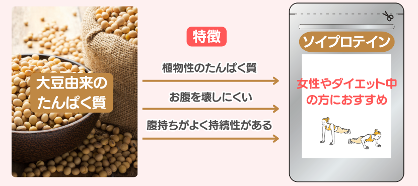 ソイプロテインの特徴 - ベストアイテム ソイプロテインの特徴
