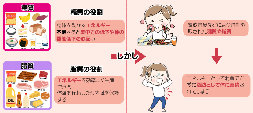糖や脂肪の吸収を抑制するタイプとは - ベストアイテム 糖や脂肪の吸収を抑制するタイプとは