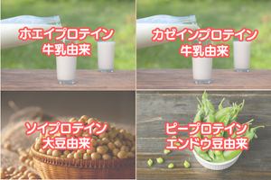 プロテインの種類 - ベストアイテム プロテインの種類
