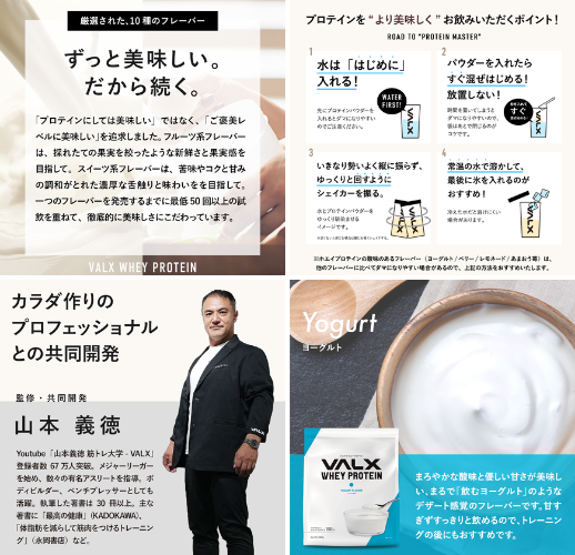 VALX ホエイプロテイン ヨーグルト風味 - ベストアイテム VALX ホエイプロテイン ヨーグルト風味