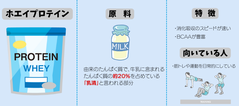 ホエイプロテインの特徴 - ベストアイテム ホエイプロテインの特徴