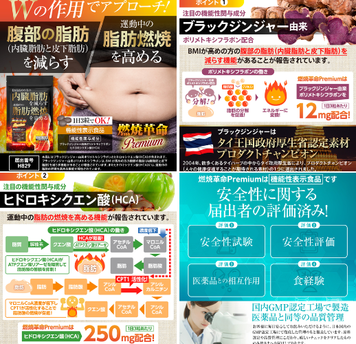 エムズワークス 燃焼革命Premium - ベストアイテム エムズワークス 燃焼革命Premium