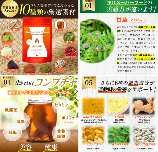 AFC-HDアムスライフサイエンス Burning Body Cleanse - ベストアイテム AFC HDアムスライフサイエンス Burning Body Cleanse