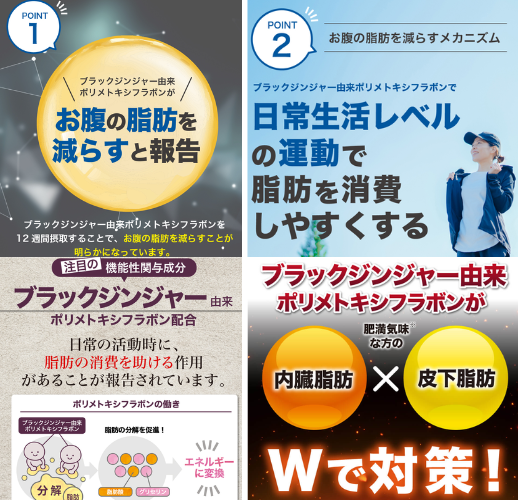 DUEN 体脂サポート - ベストアイテム DUEN 体脂サポート