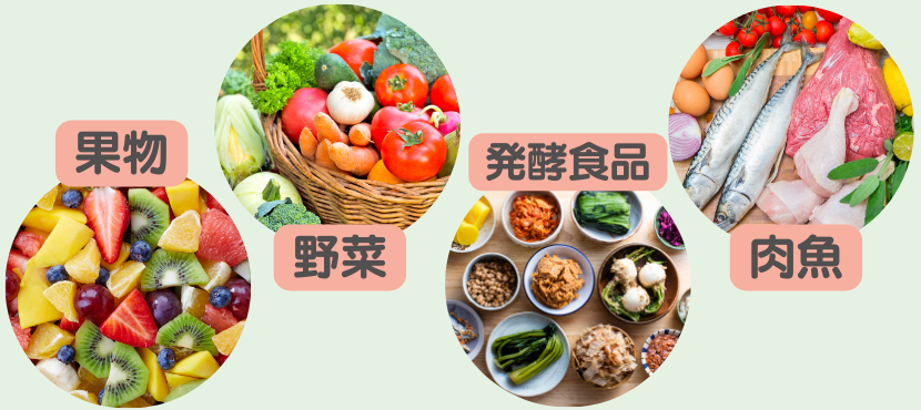 食物酵素とは - ベストアイテム 食物酵素とは