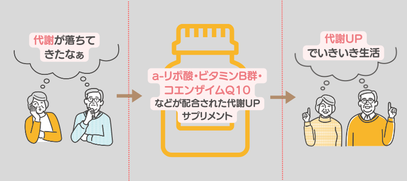 代謝が気になるなら「α-リポ酸・ビタミンB群・コエンザイムQ10」 - ベストアイテム 代謝が気になるならα リポ酸ビタミンB群コエンザイムQ10