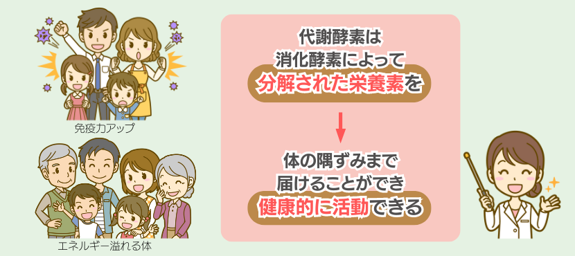 代謝酵素とは - ベストアイテム 代謝酵素とは
