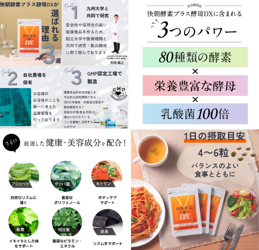 ヴェントゥーノ 快朝酵素プラス酵母DX - ベストアイテム ヴェントゥーノ 快朝酵素