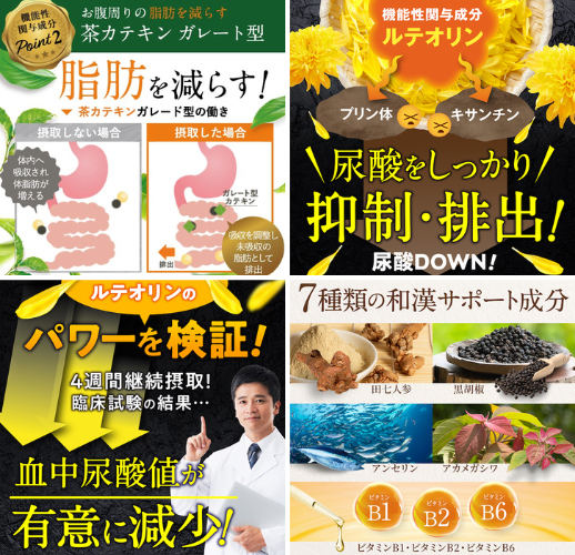 和漢の森 菊の花&カテキンの恵み - ベストアイテム 和漢の森 菊の花カテキンの恵み