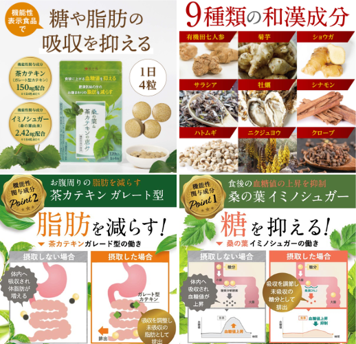 和漢の森 桑の葉&茶カテキンの恵み - ベストアイテム 和漢の森 桑の葉茶カテキンの恵み