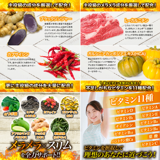 エムズワークス 燃焼革命 - ベストアイテム エムズワークス 燃焼革命