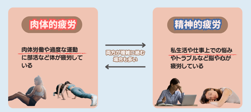 疲労の種類に合わせて選ぶ - ベストアイテム 疲労の種類に合わせて選ぶ